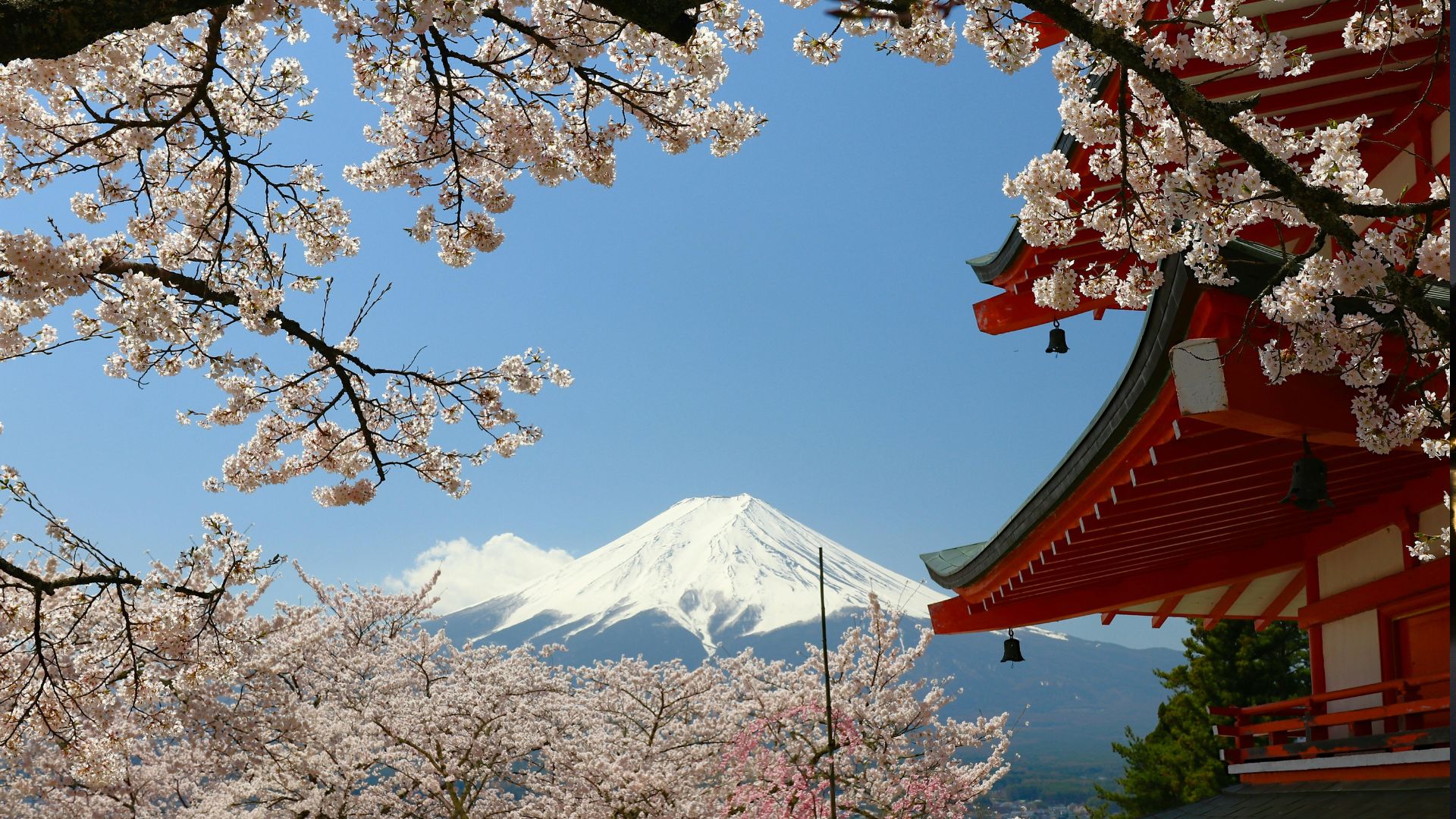 Monte Fuji a montanha mais famosa do Japão